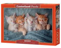 Puzzle 1000 The Sweetest Kittens. Wydawca: Castorland. SmakLiter.pl Opakowanie Puzzle 1000 The Sweetest Kittens