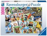 Opakowanie Puzzle 1000 Zwierzaki w podróży