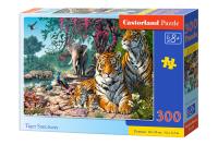 Opakowanie Puzzle 200 Tiger Sanctuary CASTOR