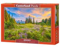 Puzzle 2000 Blossoms of Morning. Wydawca: Castorland. SmakLiter.pl Opakowanie Puzzle 2000 Blossoms of Morning