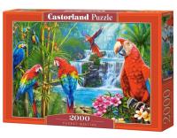Puzzle 2000 Parrot Meeting CASTOR. Wydawca: Castorland. SmakLiter.pl Opakowanie Puzzle 2000 Parrot Meeting CASTOR