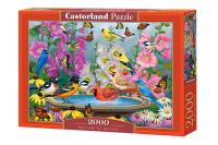 Puzzle 2000 Rhythm of Nature. Wydawca: Castorland. SmakLiter.pl Opakowanie Puzzle 2000 Rhythm of Nature