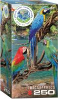 Puzzle 250 Macaws 8251-5588. Wydawca: Eurographics. SmakLiter.pl Opakowanie Puzzle 250 Macaws 8251-5588