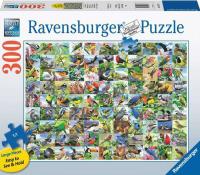 Opakowanie Puzzle 300 99 zachwycających ptaków