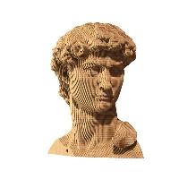 Opakowanie Puzzle 3D David Cartonic