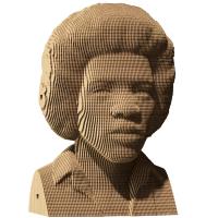 Opakowanie Puzzle 3D Jimi Hendrix Cartonic