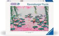 Puzzle 4000 Podwodny świat. Wydawca: Ravensburger. SmakLiter.pl Opakowanie Puzzle 4000 Podwodny świat