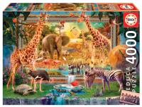 Puzzle 4000 Sawanna budzi się do życia G3. Wydawca: Educa. SmakLiter.pl Opakowanie Puzzle 4000 Sawanna budzi się do życia G3