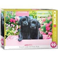 Opakowanie Puzzle 500 Black Labs in Pink Box 6500-5462