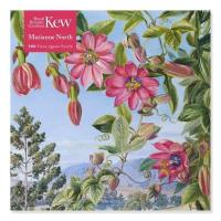 Puzzle 500 Widok w ogrodzie Brisbane Kew Marianne. Wydawca: Flame Tree. SmakLiter.pl Opakowanie Puzzle 500 Widok w ogrodzie Brisbane Kew Marianne