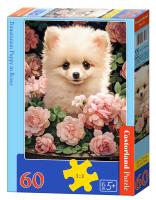 Puzzle 60 Pomeranian Puppy in Roses CASTOR. Wydawca: Castorland. SmakLiter.pl Opakowanie Puzzle 60 Pomeranian Puppy in Roses CASTOR
