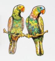 Opakowanie Puzzle drewniane eko 82 Papużki faliste A4