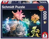Opakowanie Puzzle PQ 1000 Planeta Ziemia 2020 G3