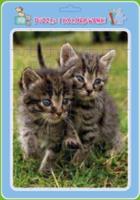 Opakowanie Puzzle w ramce z kolorowanką. Koty