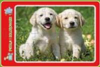 Opakowanie Puzzle w ramce z kolorowanką. Szczeniaczki