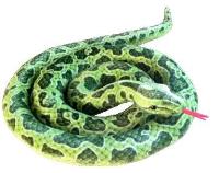 Opakowanie Pyton zielony 200cm