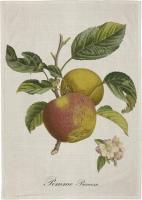 Opakowanie Ręcznik kuchenny - Jabłoń