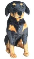 Opakowanie Rotweilleri siedzący 65cm