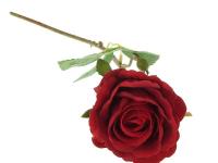 Opakowanie Róża piankowa 52cm