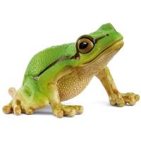 Opakowanie Rzekotka drzewna