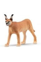 Opakowanie Samica karakala