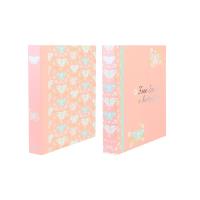 Opakowanie Segregator A4/2R 5cm Butterflies