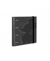 Opakowanie Segregator A4 z gumką Disney 100 wzór 1