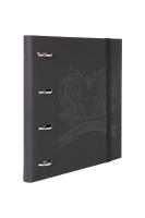 Opakowanie Segregator A4 z gumką Disney 100 wzór 2