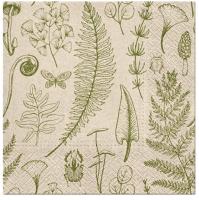 Opakowanie Serwertki We Care Las 33x33cm 20szt