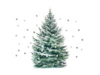 Opakowanie Serwetki BN P 33x33mm 12szt