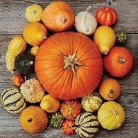 Opakowanie Serwetki Dynia 33x33cm 20szt