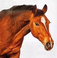 Opakowanie Serwetki głowa konia 33x33cm 20szt