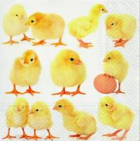 Opakowanie Serwetki Małe kurczaczki 33x33cm 20szt