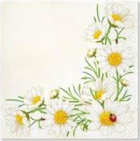 Opakowanie Serwetki Margaretki 33x33cm 20szt