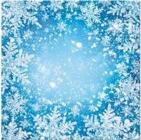 Opakowanie Serwetki Oszronione okno 33x33cm 20szt