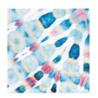 Opakowanie Serwetki Pióro tie-dye 33x33cm 20szt