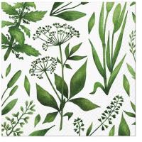 Opakowanie Serwetki zielony koktail