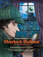 Sherlock Holmes. Pies Baskerville'ów. Autor: Doyle Arthur Conan, Grażyna Woźniak, Mat Schmitt. SmakLiter.pl Okładka książki Sherlock Holmes. Pies Baskerville'ów