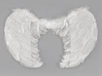Opakowanie Skrzydełka anioła
