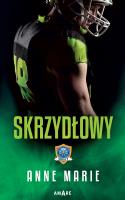 Skrzydłowy. Autor: Anne Marie. SmakLiter.pl Okładka książki Skrzydłowy
