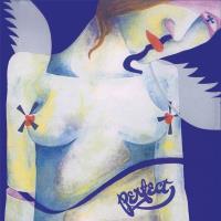 Śmigło - Płyta winylowa. Autor: Perfect. SmakLiter.pl Okładka książki Śmigło - Płyta winylowa