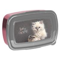 Opakowanie Śniadaniówka Kot PP24AW-3022