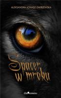 Spacer w mroku. Autor: Aleksandra Jonasz-Zakrzewska. SmakLiter.pl Okładka książki Spacer w mroku