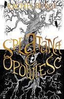 Splątana opowieść - uszkodzone. Autor: Burge Rachel. SmakLiter.pl Okładka książki Splątana opowieść - uszkodzone