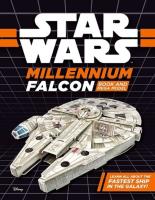 Opakowanie Star Wars Millennium Falcon Book and Mega Model