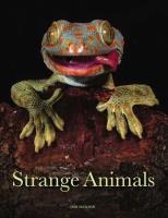 Strange Animals. Autor: Jackson Tom. SmakLiter.pl Okładka książki Strange Animals