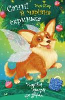 Okładka książki Sunny and the magic box