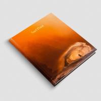 Opakowanie Surf Porn