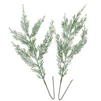 Opakowanie Suszone gałązki tui z brokatem 33cm 2szt