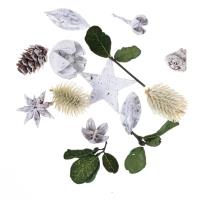 Opakowanie Suszone owoce i liście dekoracyjne 20g